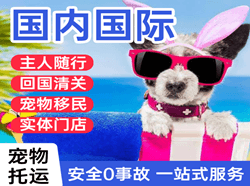 临汾尧都空运代理国际宠物托运 【国